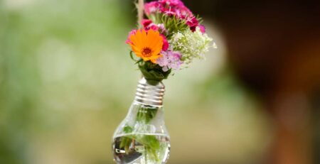 Healing-Energy-of-Flowers-Blog-Image1-72dpi