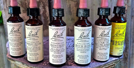 Classes Bach Flower Essence Therapy