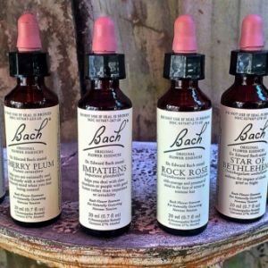 Bach Flower Essence Therapy Class