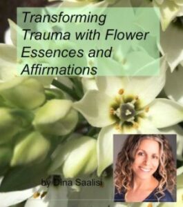 Transforming Trauma With Flower Essences and Affirmations