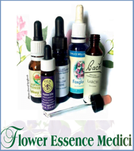 Published Articles Flower Essence Medici Personal Empowerment