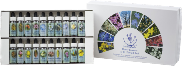 Learn the Art of Flower Therapy Full Class + Flower Remedy Kit