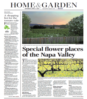 Home & Garden Special Flowers Places of the Napa Valey