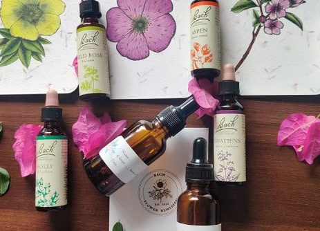 A Master Flower Essence Practitioners Wisdom